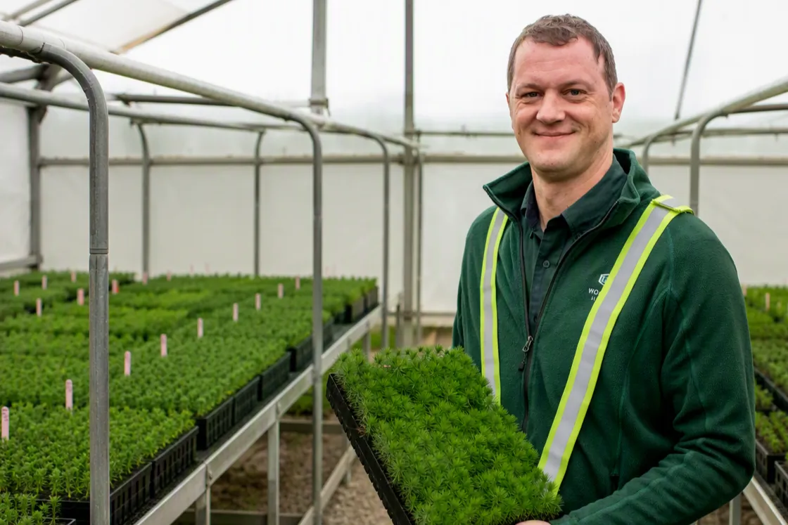 Sussex Tree Nursery