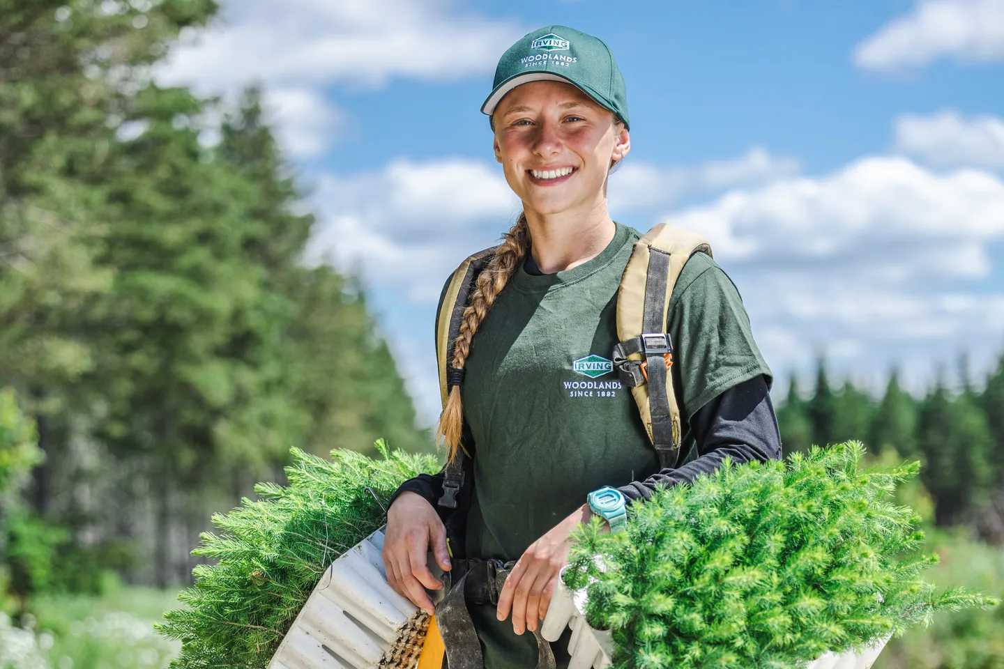 34 million seedlings planted in 2026​