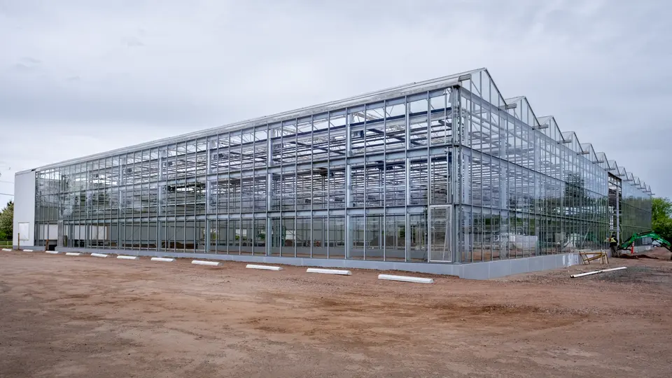 4 - Sussex Nursery construction.jpg