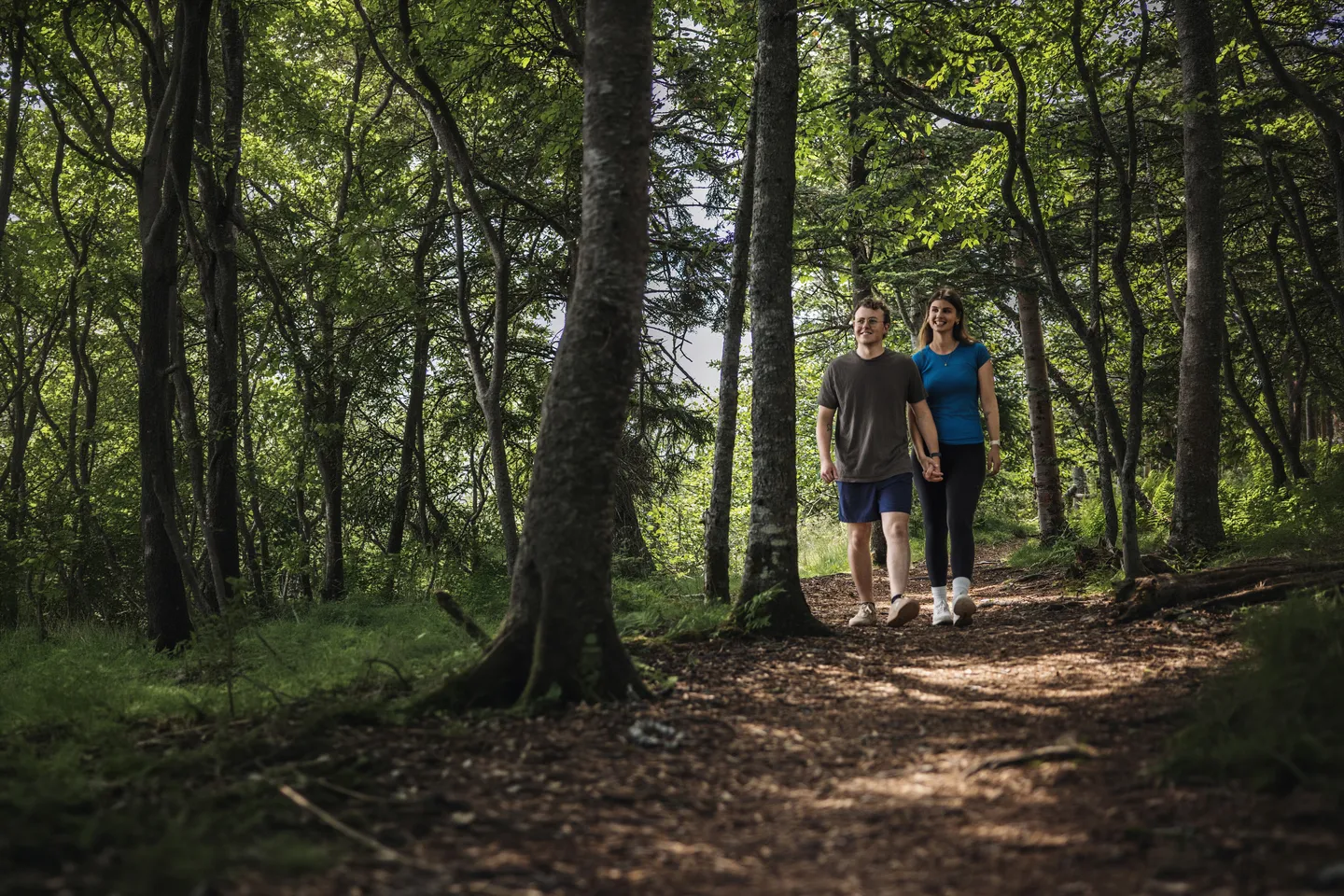 Hiking Trails