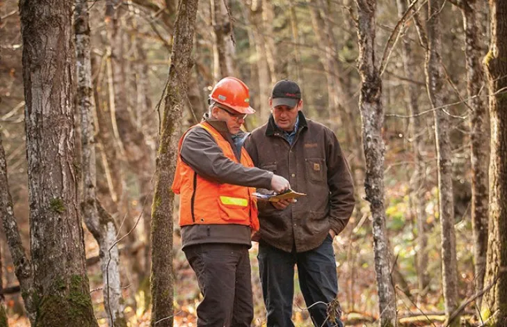 Approvisionnement en bois et relations avec les propriétaires