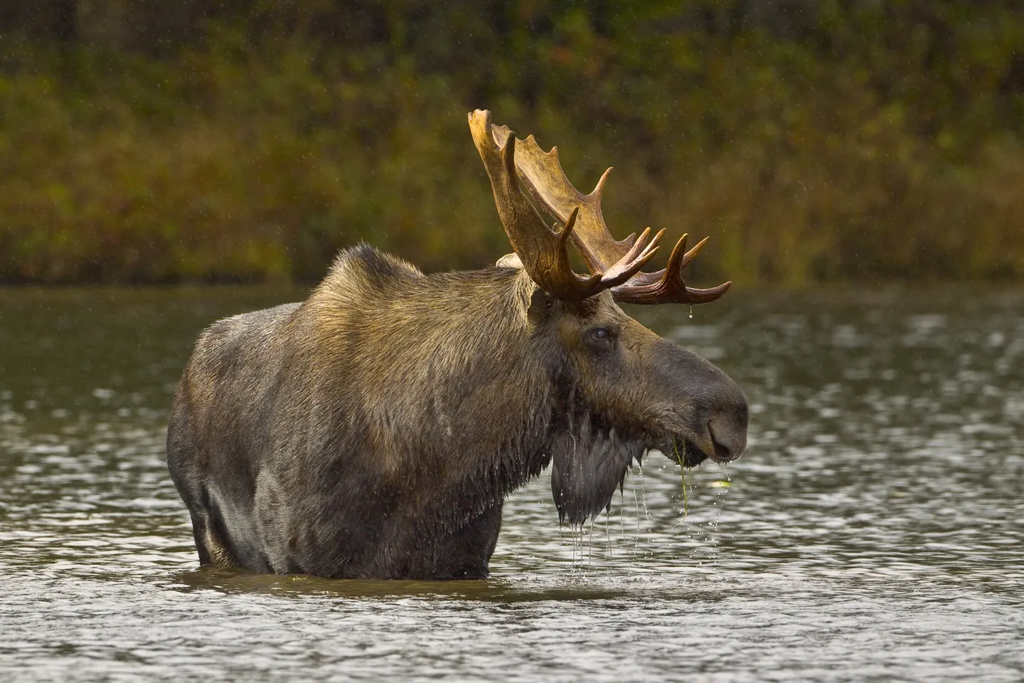 2,400+ sites protected in our Conservation Program​