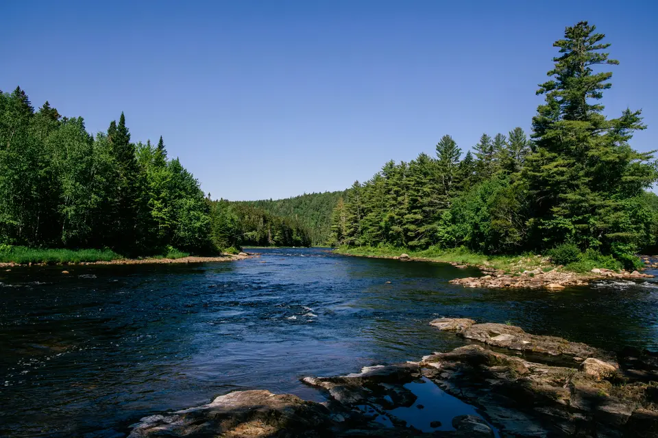 conservation areas program - 5.jpg
