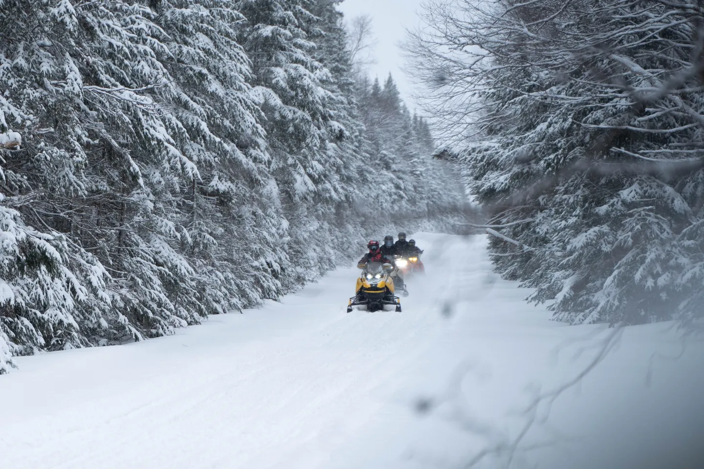 Snowmobile NB