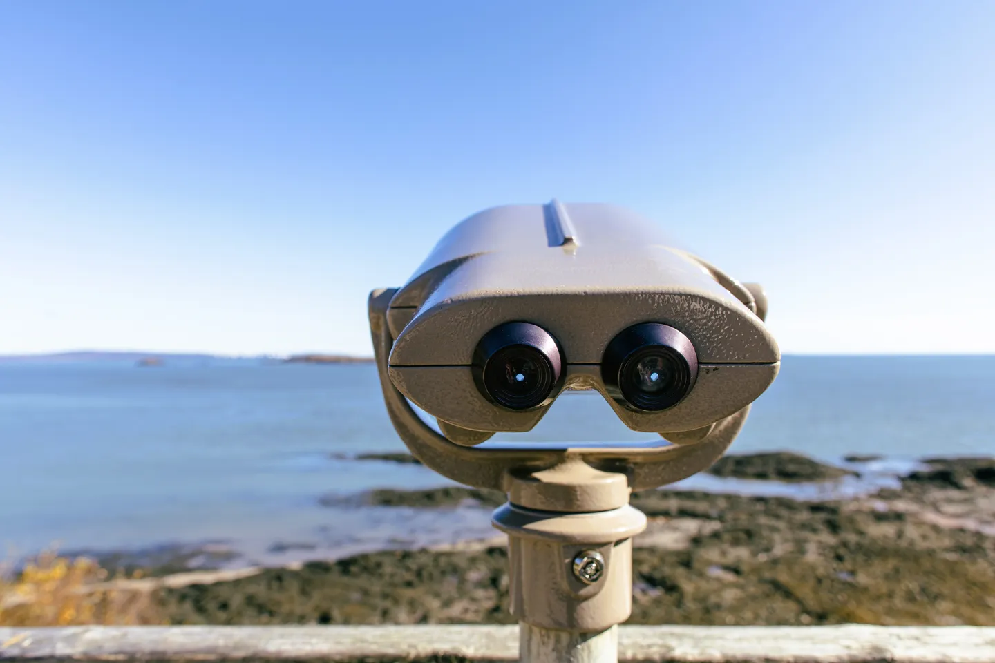 Seal Observation Deck  