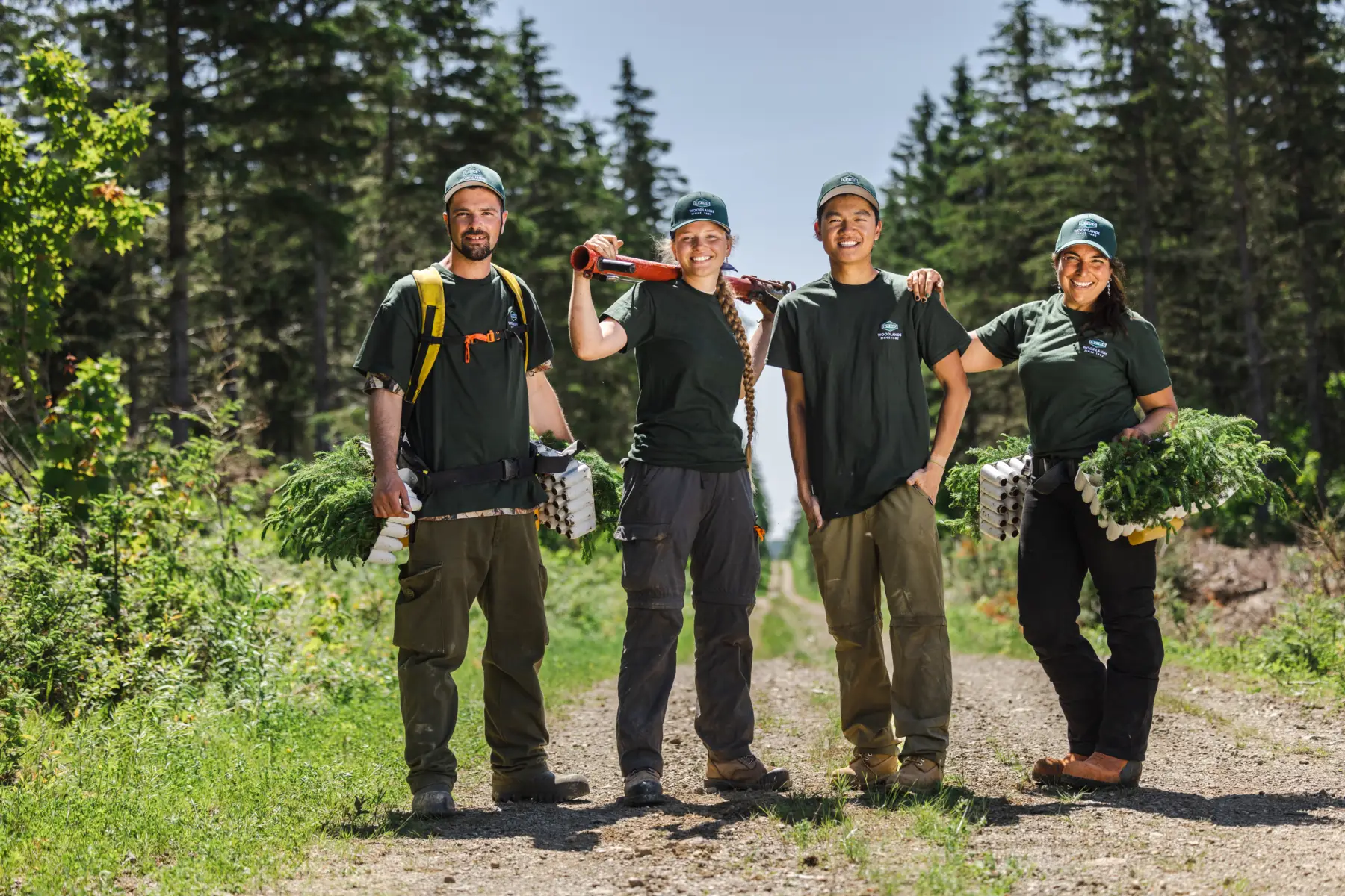 Tree Planters