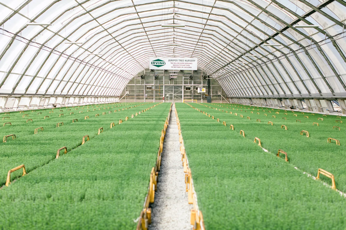 Growing More than we Harvest