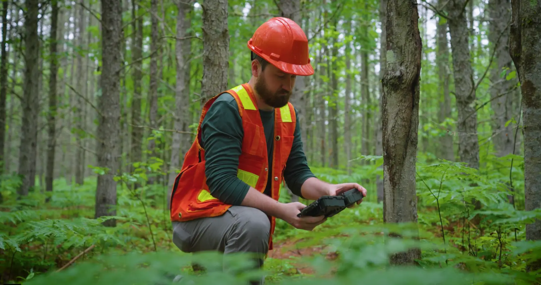 Surveillants de la biodiversité