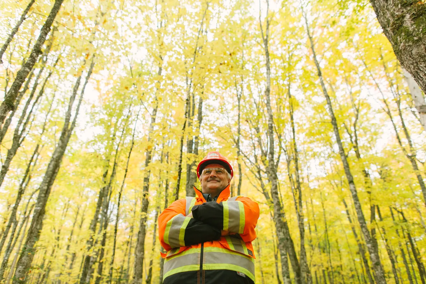 27% of productive forest land managed for conservation​