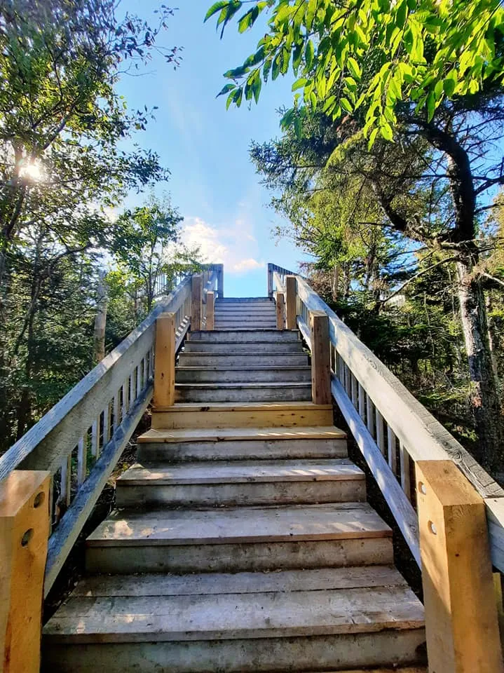 Lookout Tower 