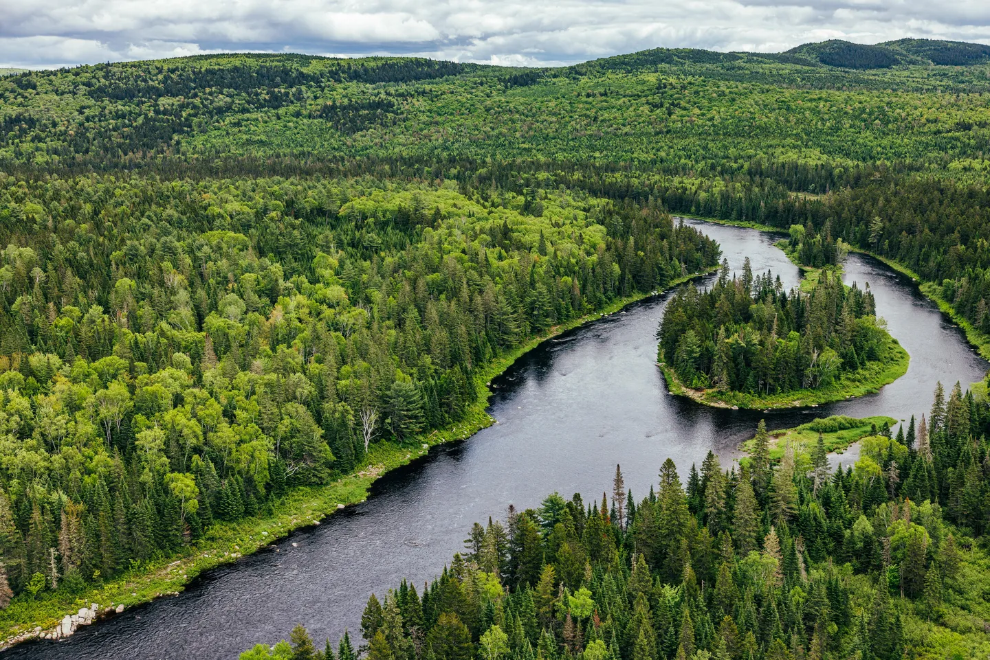 Our forest supply chain removes more carbon than it emits