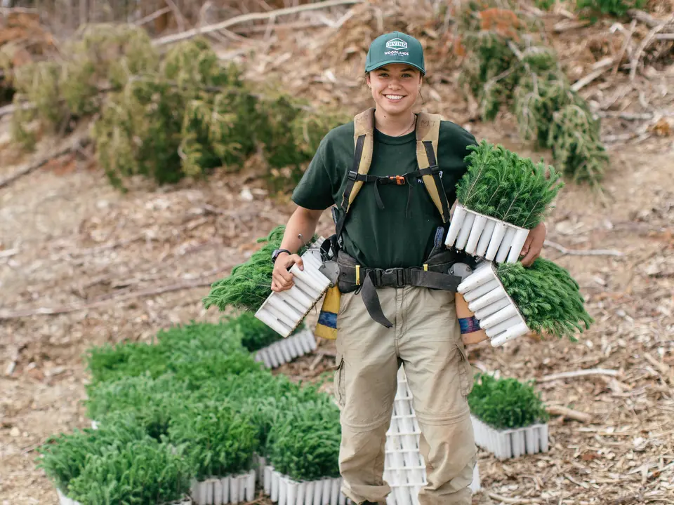 Join our tree planting team 7.jpg