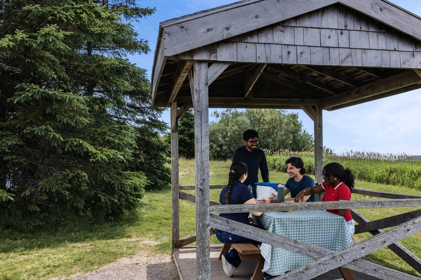Picnic Sites & BBQ’s 