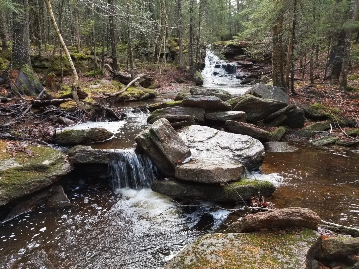Ice, Water, and Time: Coulombs Road Waterfall & Canyon (New Brunswick)