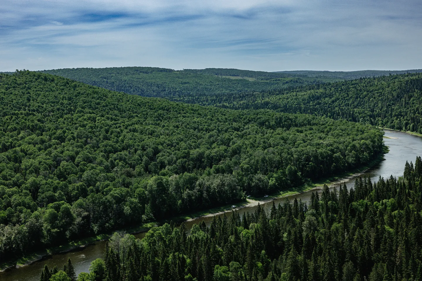 100% of lands third-party certified (SFI® and FSC®)​