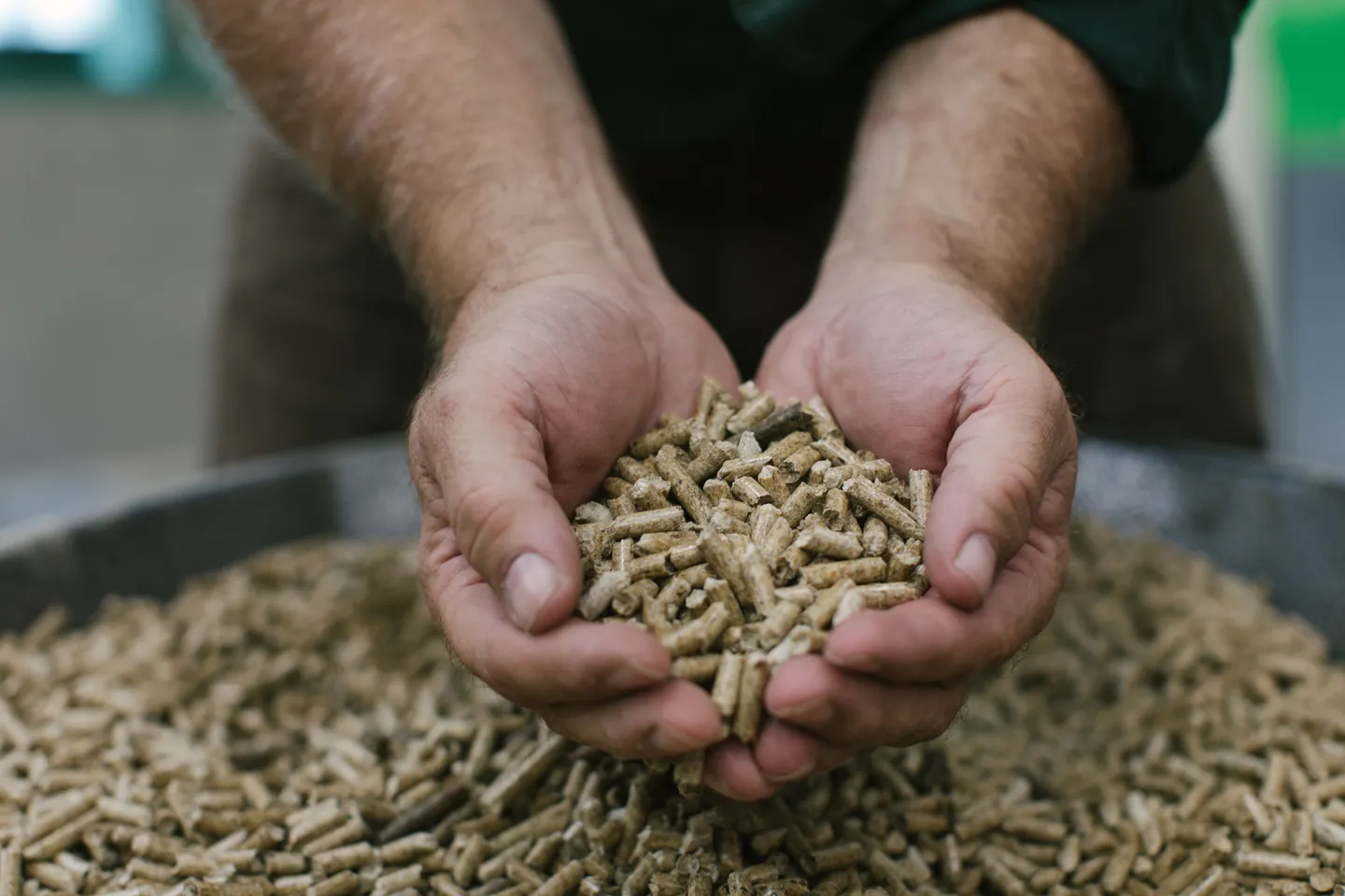 Sawdust to Pellets