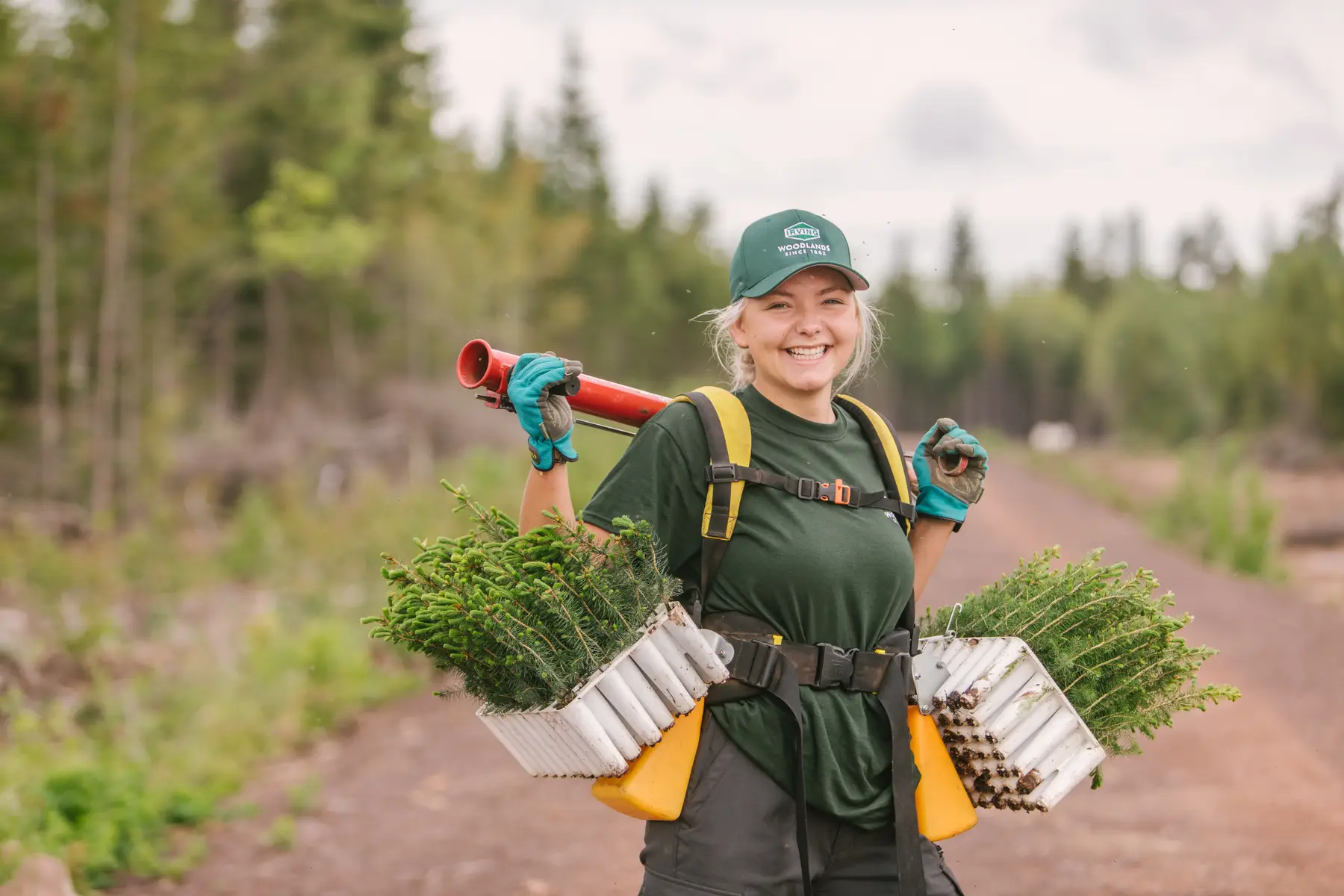 Tree Planting