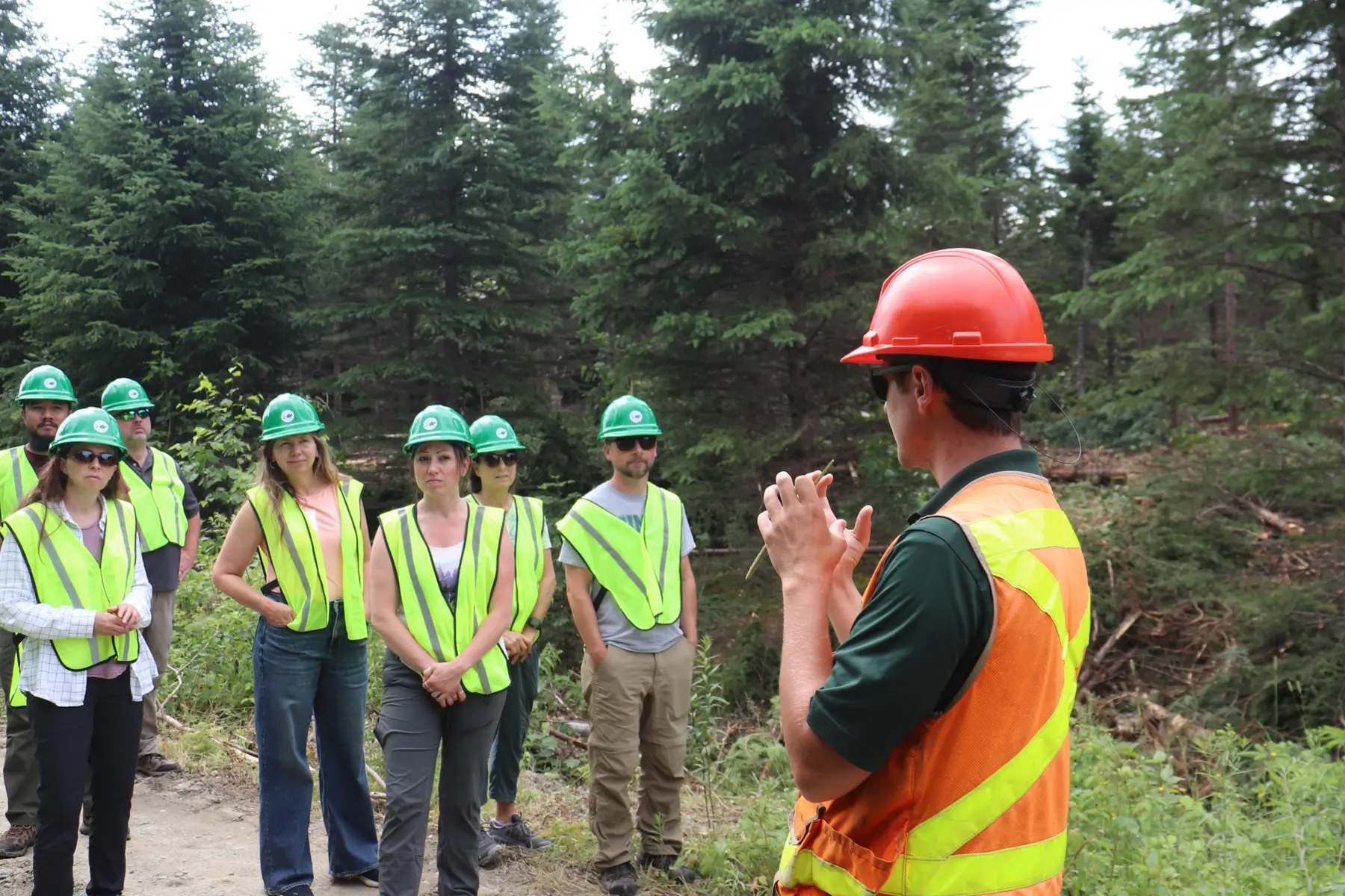 Maine Tree Foundation 