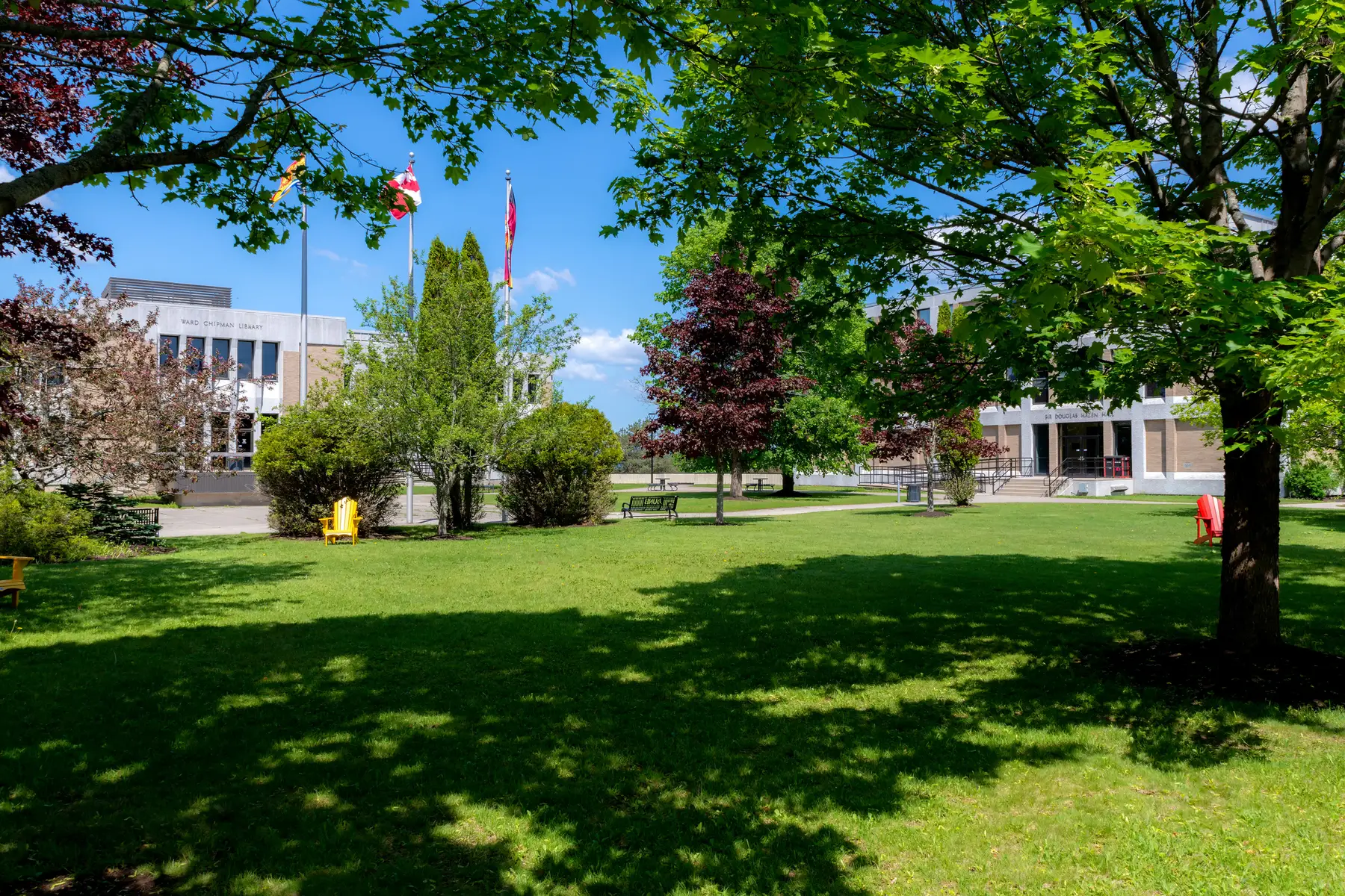 Bourse de leadership J.D. Irving à l'UNB
