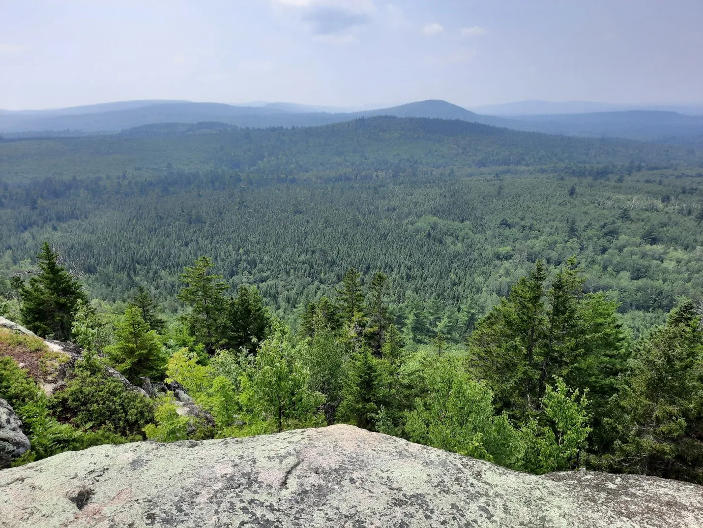 A Mountain with a Vie: Bald Mountain Peak (New Brunswick) 