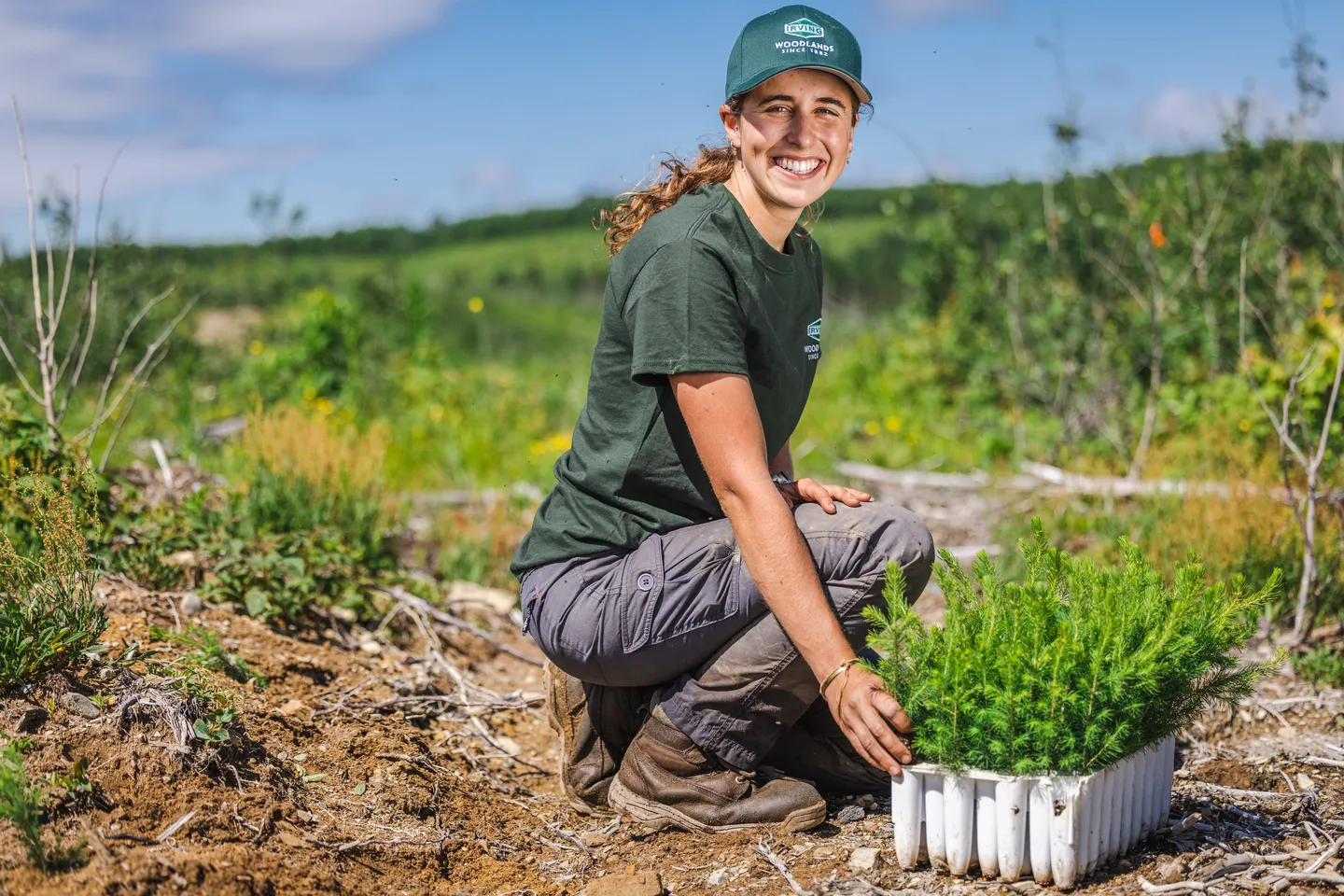Tree Planting 
