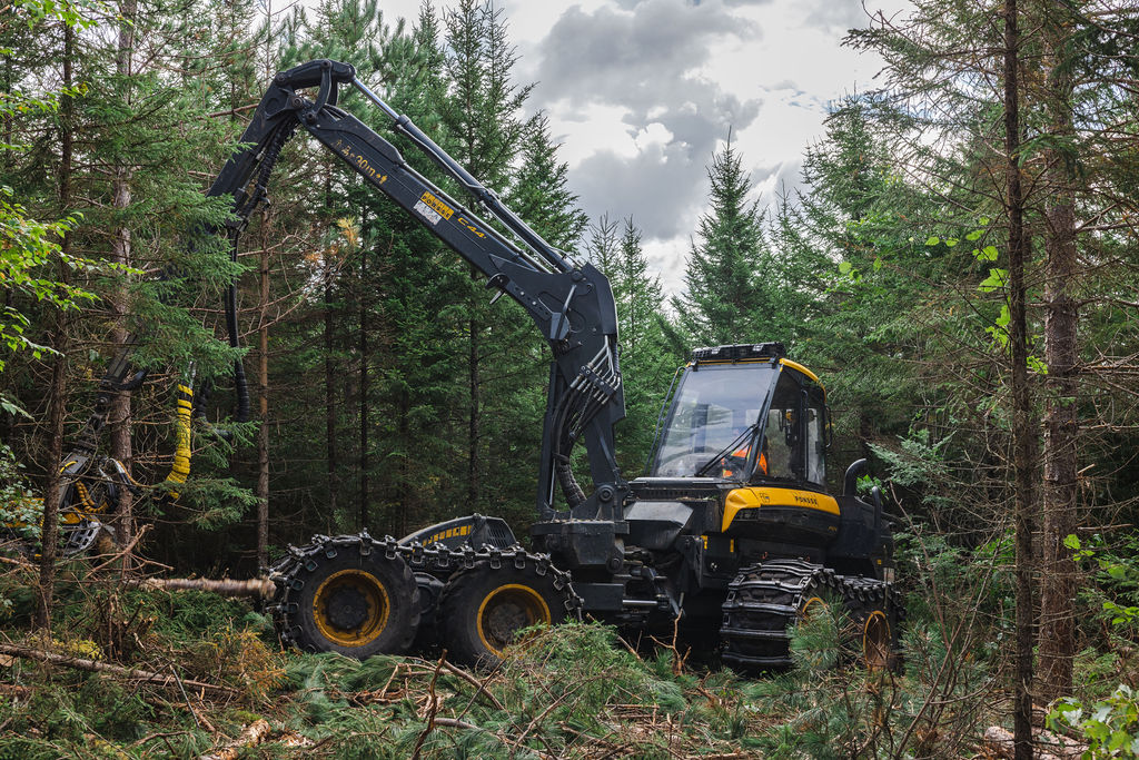 forest planning harvester icon 2023