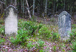baskins_Crop