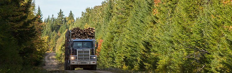 delivery_banner