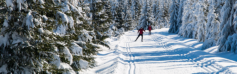 skiing_banner