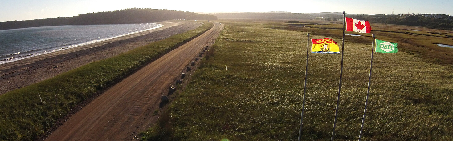 Nature_Park_Aerial_Shot