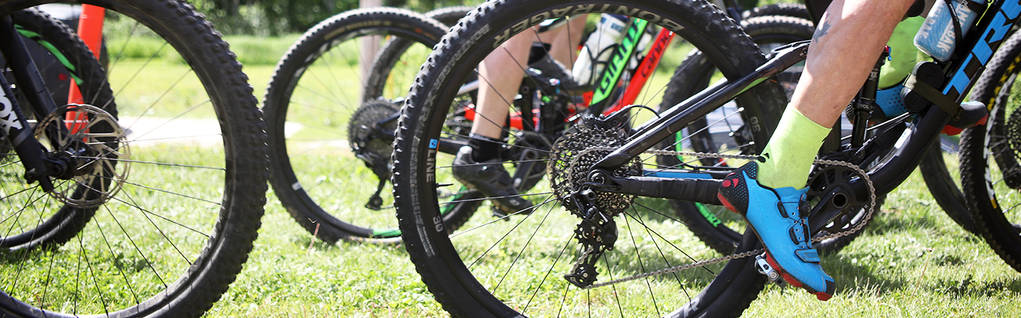 mintobike2019_l